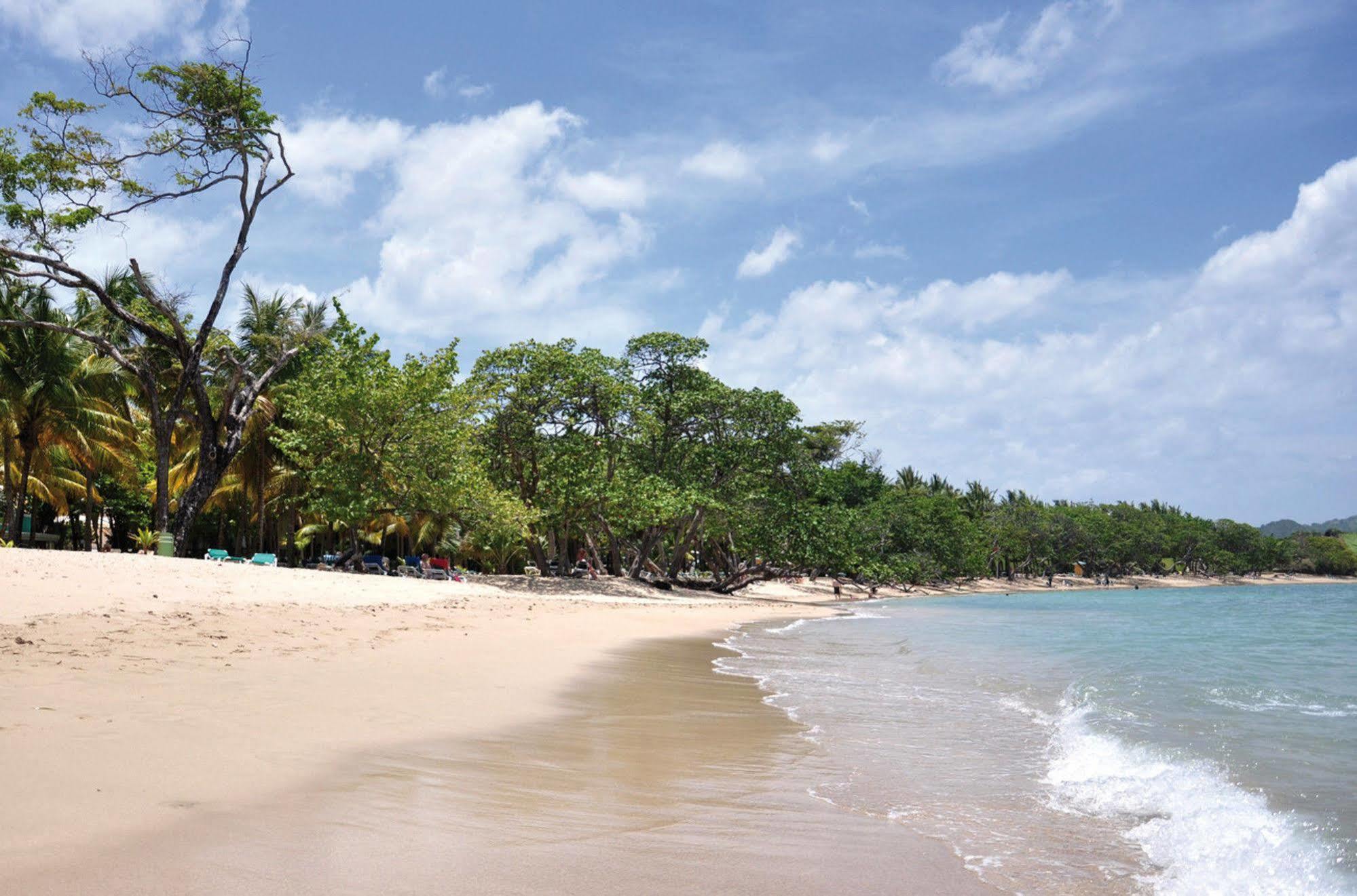 Senator Puerto Plata Vip Hotell Eksteriør bilde